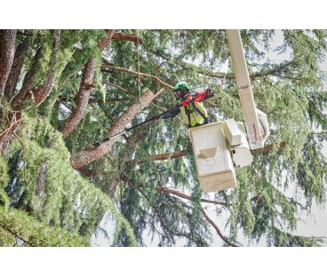 Podkrzesywarka teleskopowa 30cm M18 FTPS30-0 MILWAUKEE 4933480868
